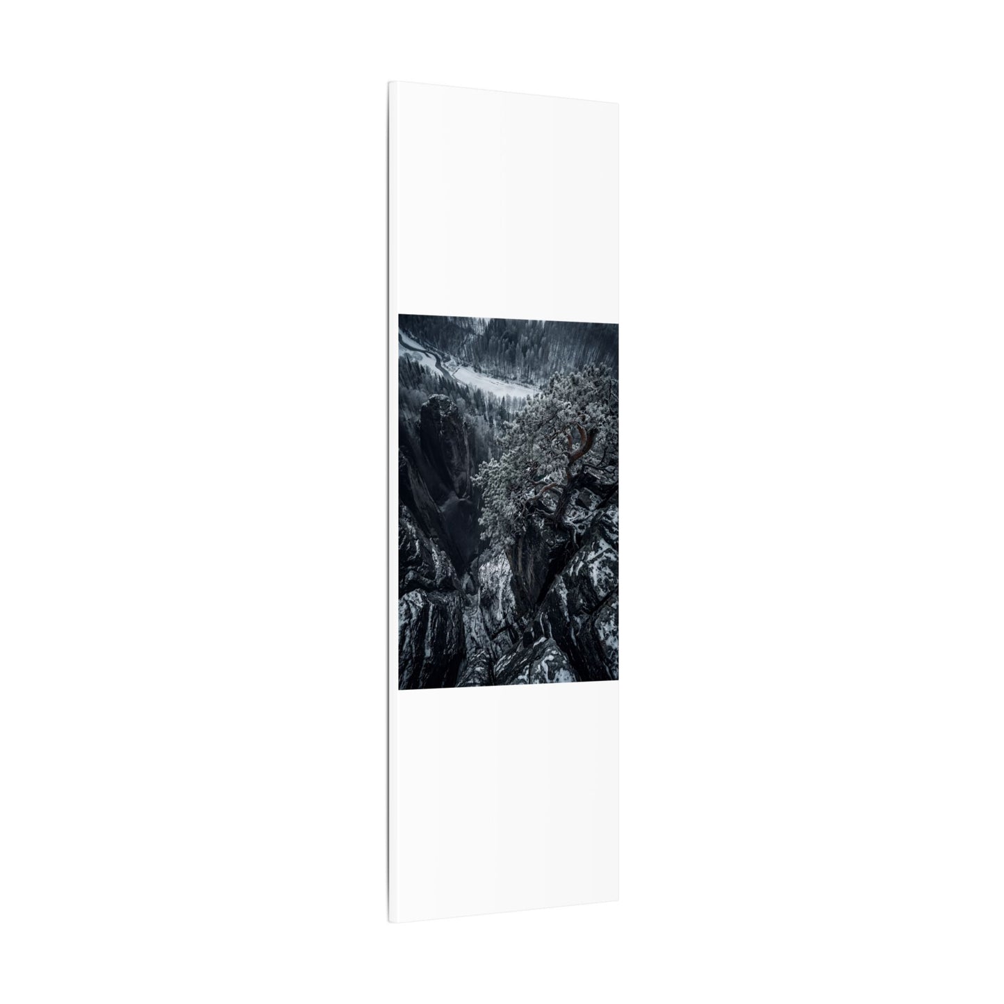Dark Japandi Pine Tree in Dappled | Dark Texture Canvas Art
