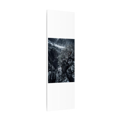 Dark Japandi Pine Tree in Dappled | Dark Texture Canvas Art