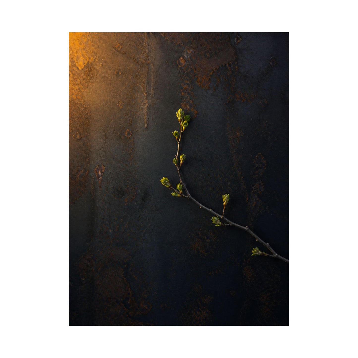 Bold Rust Patina Wall Art Print - Moody Minimal Dark Japandi