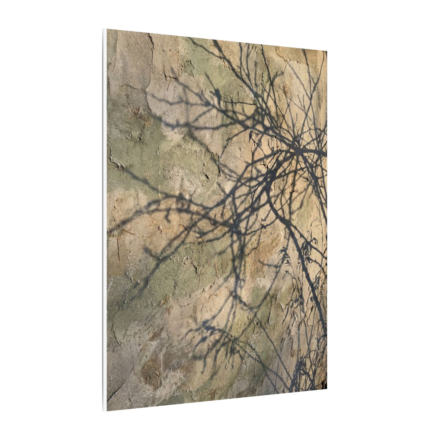 Japandi Shadow Play in Golden Hour | Texture Canvas Art