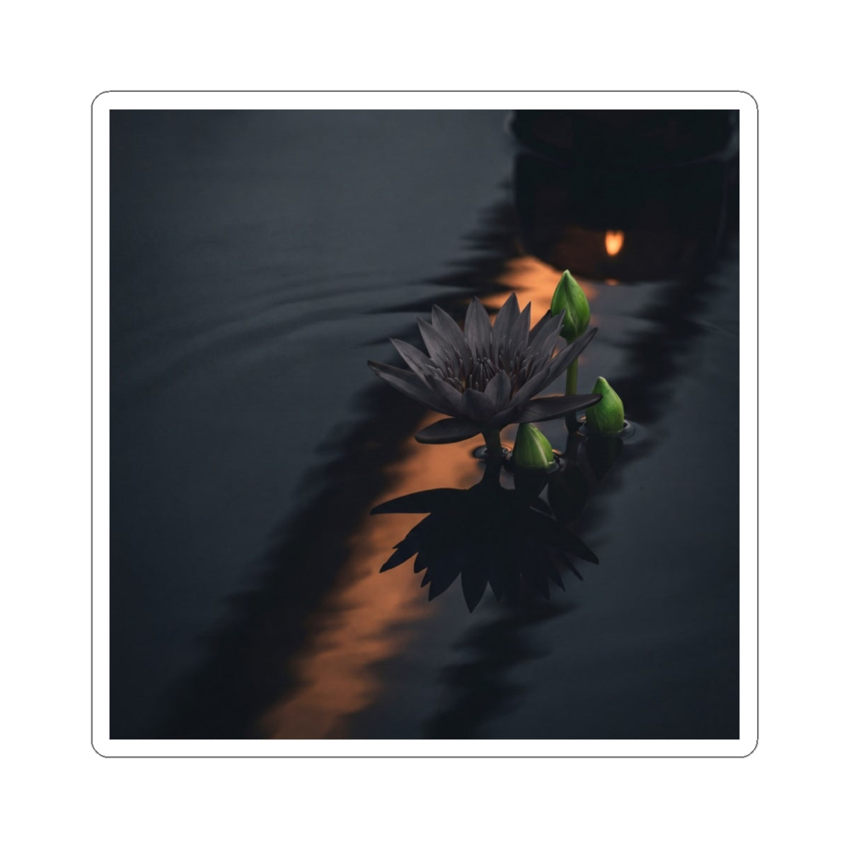 Seijaku Lotus Flower Sticker - Dark Japandi Shadow Zen