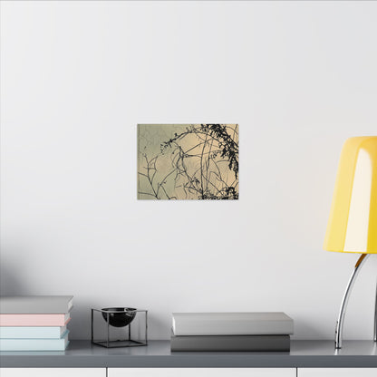 Golden Hour Shadow Play Canvas Art - Japandi Mono No Aware