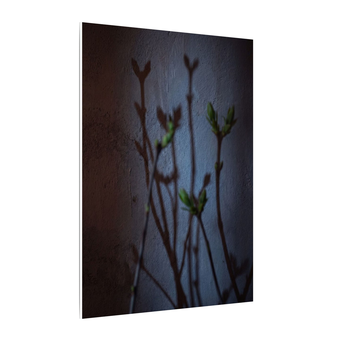 Shadow Play Spring Canvas Art | Dark Japandi Sophisticated Design