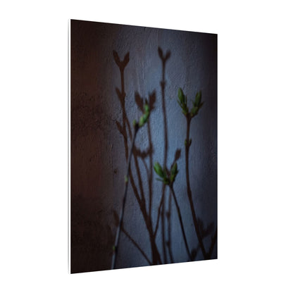 Shadow Play Spring Canvas Art | Dark Japandi Sophisticated Design