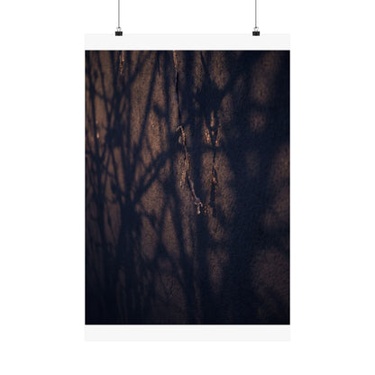 Golden Hour Shadow Play Wall Art Print - Dark Japandi Mono No Aware