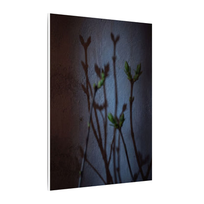 Shadow Play Spring Canvas Art | Dark Japandi Sophisticated Design