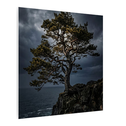 Dappled Pine Tree Canvas Art - Dark Japandi Fukinsei