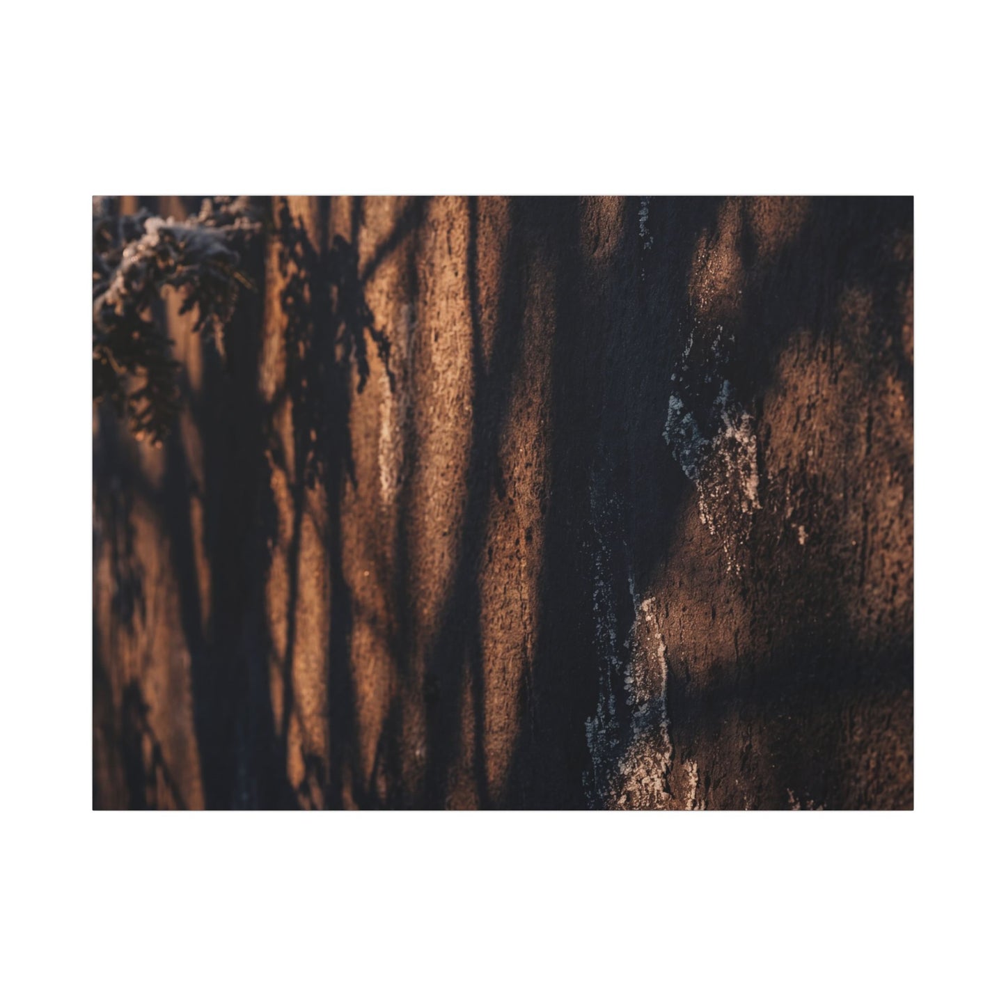Golden Hour Shadow Play Canvas Art - Dark Japandi Fukinsei Art Print