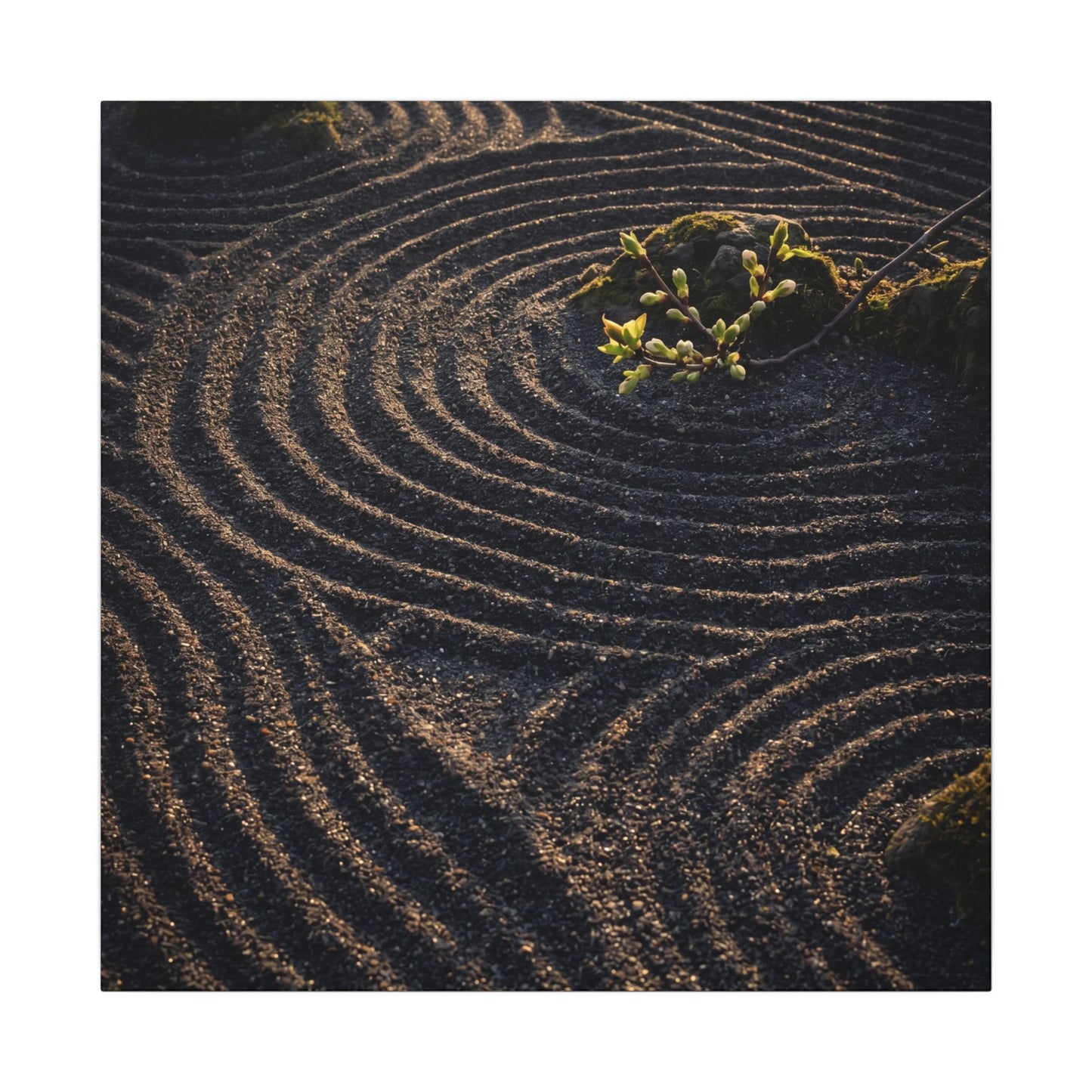 Spring Rock Garden Shadow Zen Canvas Art | Atmospheric Decor