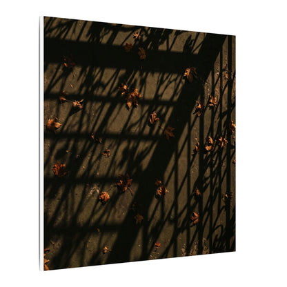 Dark Japandi Shadow Play in Golden Hour | Moody Minimal Canvas Art