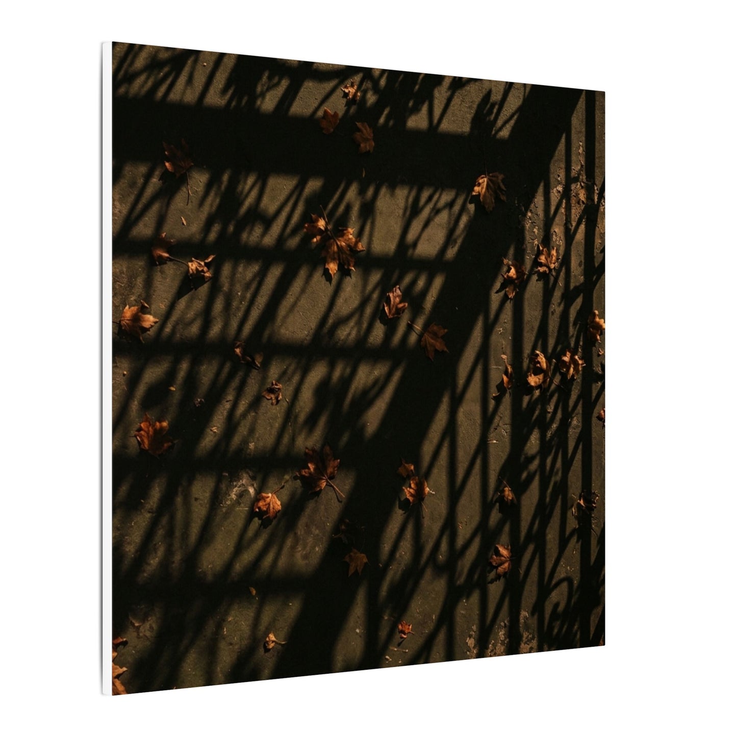 Shadow Play Canvas Art | Autumn Dark Japandi Moody Minimal Art
