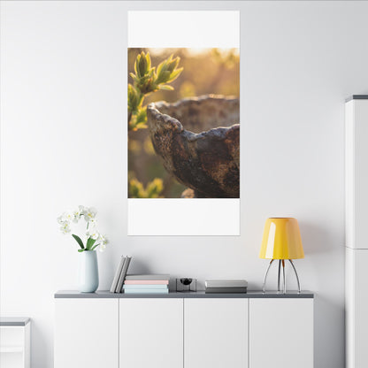 Golden Hour Ceramic Bowl Canvas Art - Dark Japandi Ma