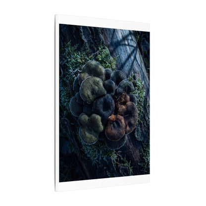 Wild Mushrooms Moody Minimal Canvas Art | Moody Dark Japandi Art
