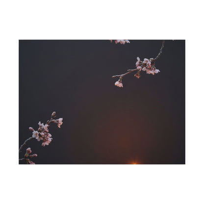 Dark Japandi Cherry Blossom in Candlelight | Moody Minimal Canvas Art Art Print