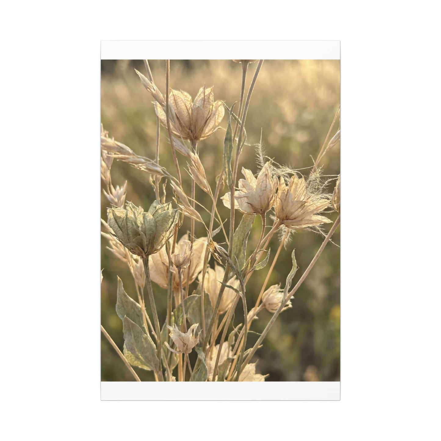 Summer Dried Flowers Minimal Line Canvas Art | Cozy Decor