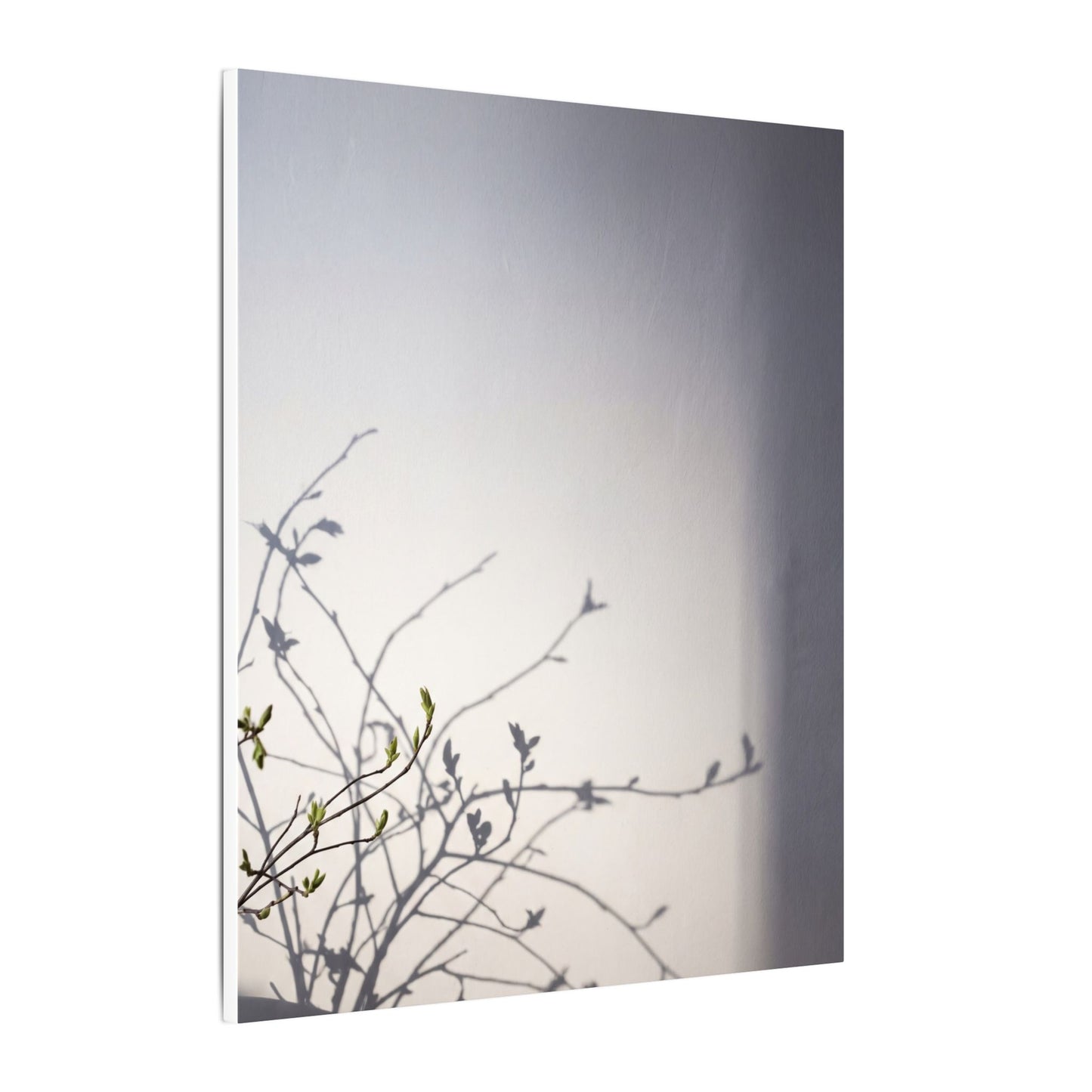 Japandi Shadow Play in Dawn | Japanese Pattern Canvas Art