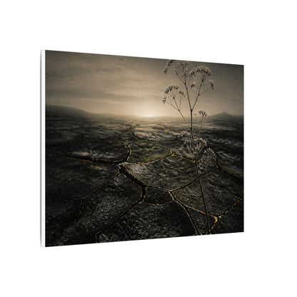 Dawn Cracked Earth Canvas Art - Dark Japandi Mono No Aware