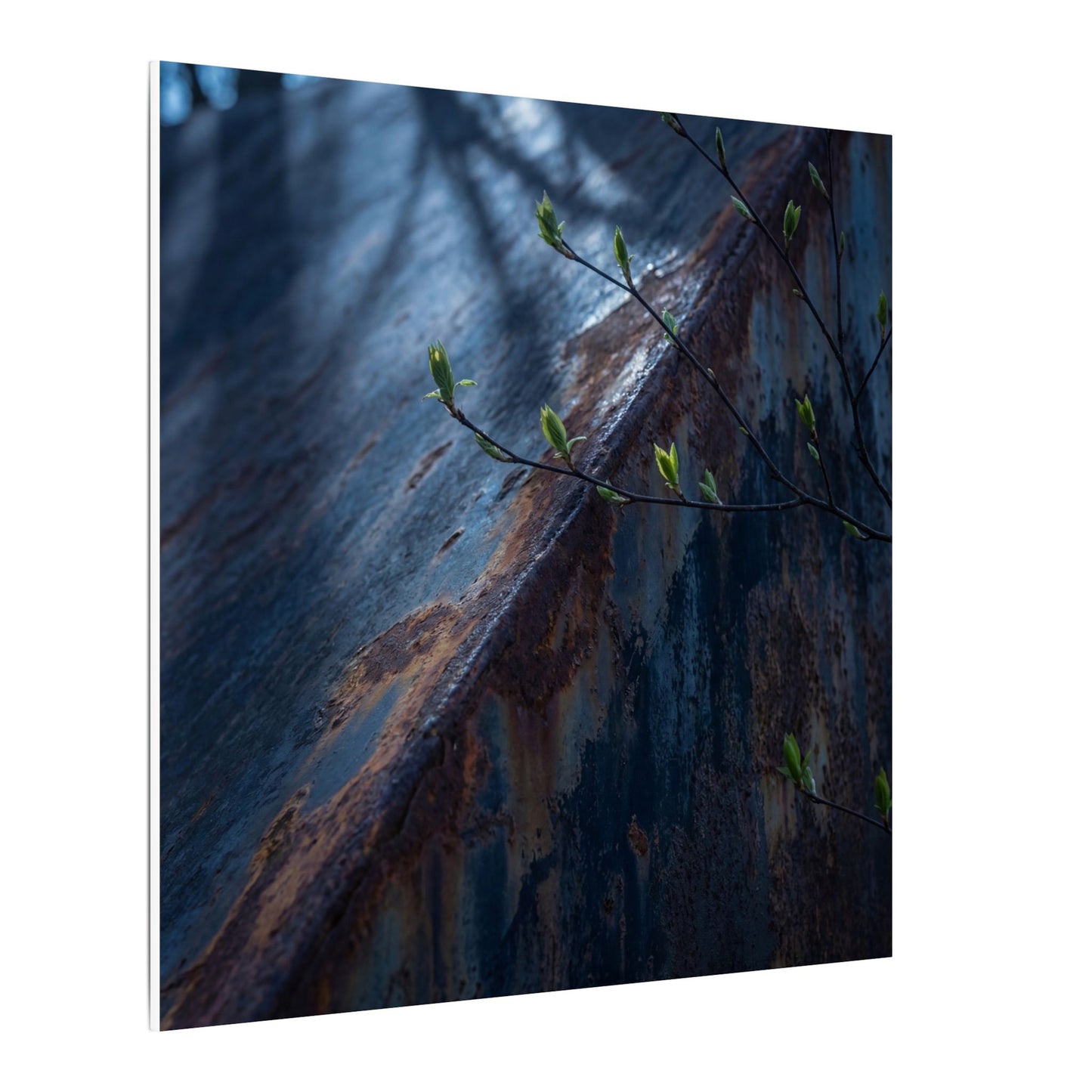 Rust Patina Canvas Art | Spring Dark Japandi Shadow Zen Art