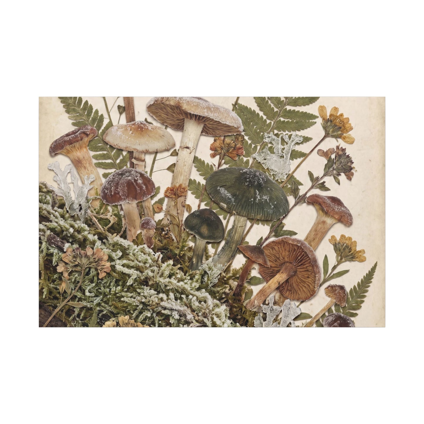 Winter Wild Mushrooms Herbarium Canvas Art | Enchanting Decor