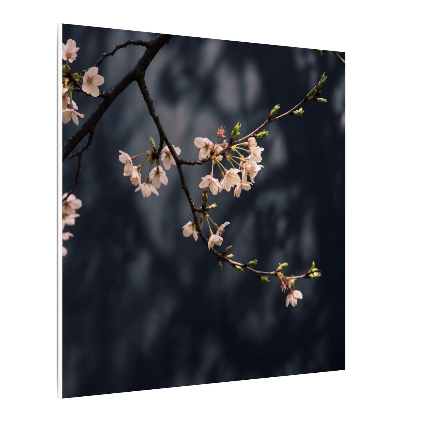Cherry Blossom Moody Minimal Canvas Art | Bold Dark Japandi Art