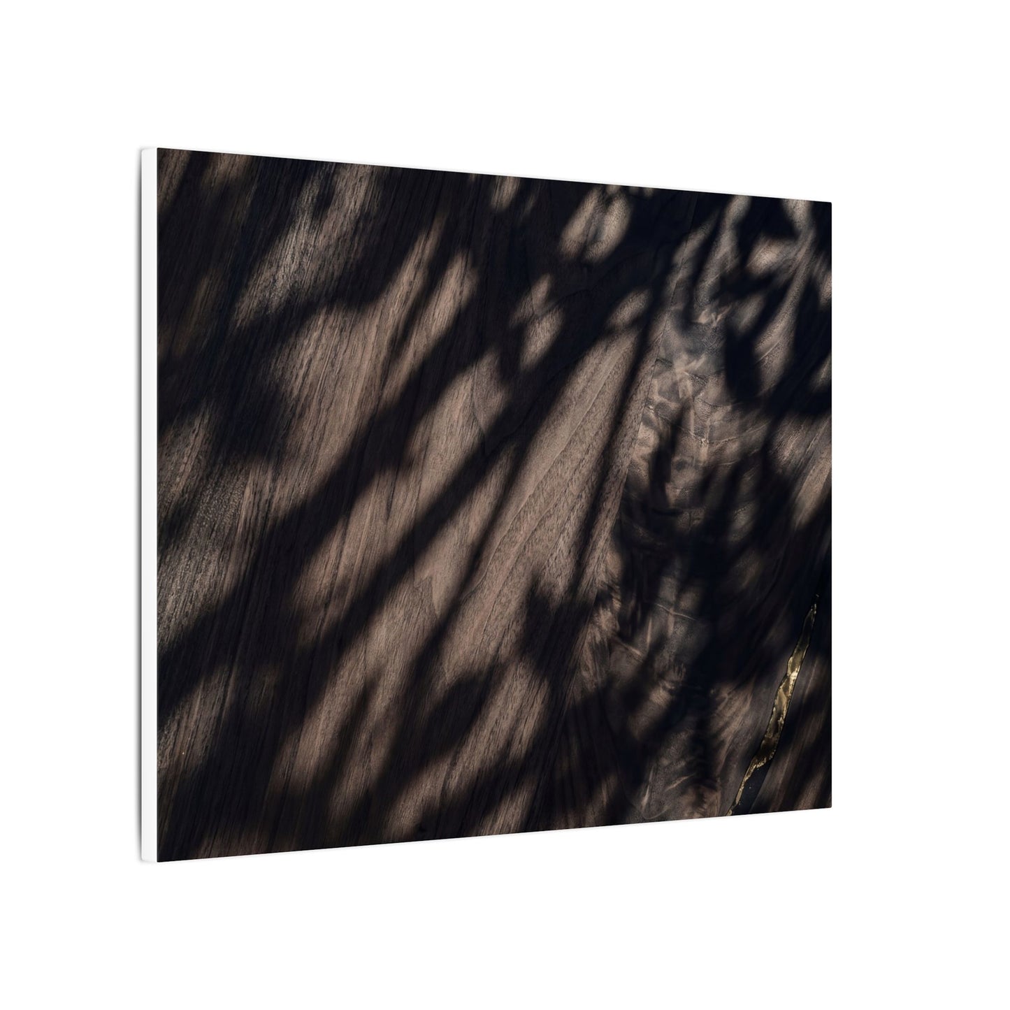 Shadow Play Summer Canvas Art | Dark Japandi Moody Design