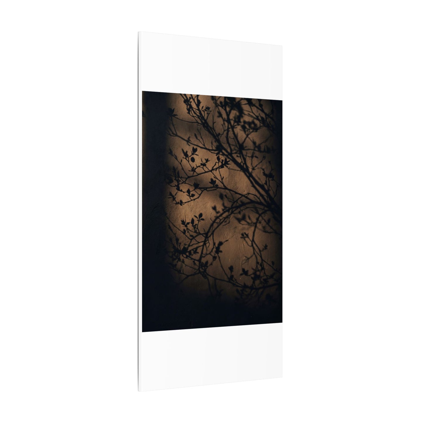 Dark Japandi Shadow Play in Golden Hour | Shadow Zen Canvas Art