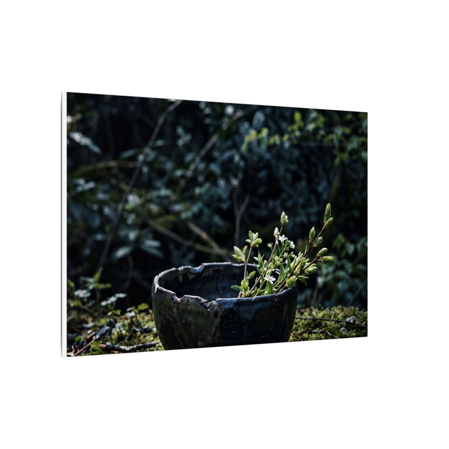 Dappled Ceramic Bowl Canvas Art - Dark Japandi Datsuzoku