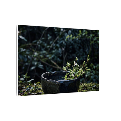 Dappled Ceramic Bowl Canvas Art - Dark Japandi Datsuzoku