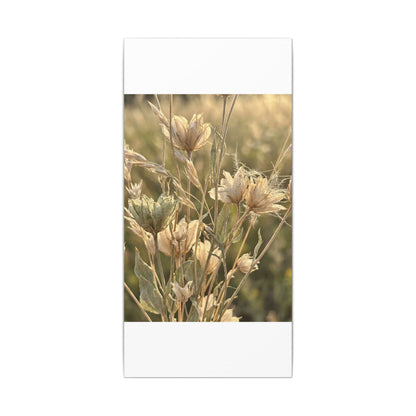 Summer Dried Flowers Minimal Line Canvas Art | Cozy Decor