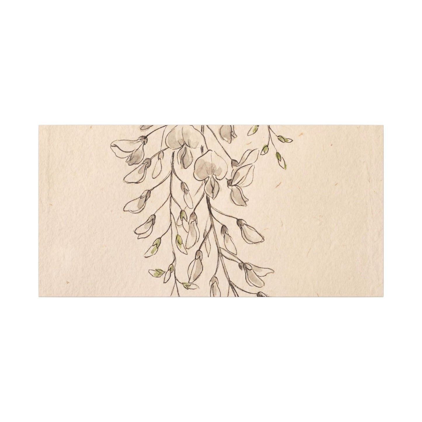 Japandi Wisteria in Golden Hour | Minimal Line Canvas Art