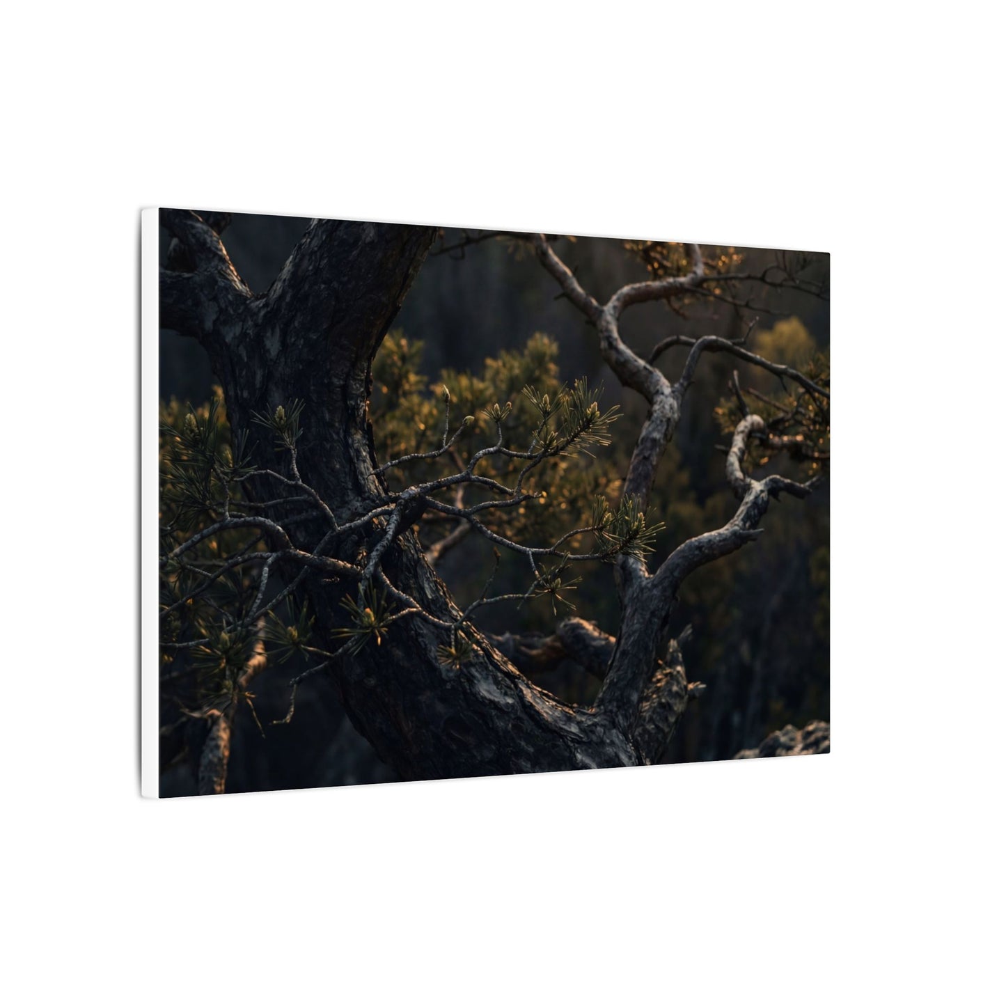 Moody Pine Tree Canvas Art - Moody Minimal Dark Japandi