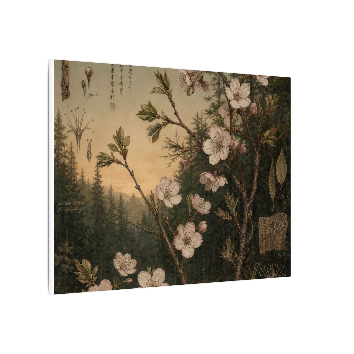 Spring Cherry Blossom Herbarium Canvas Art | Nostalgic Decor