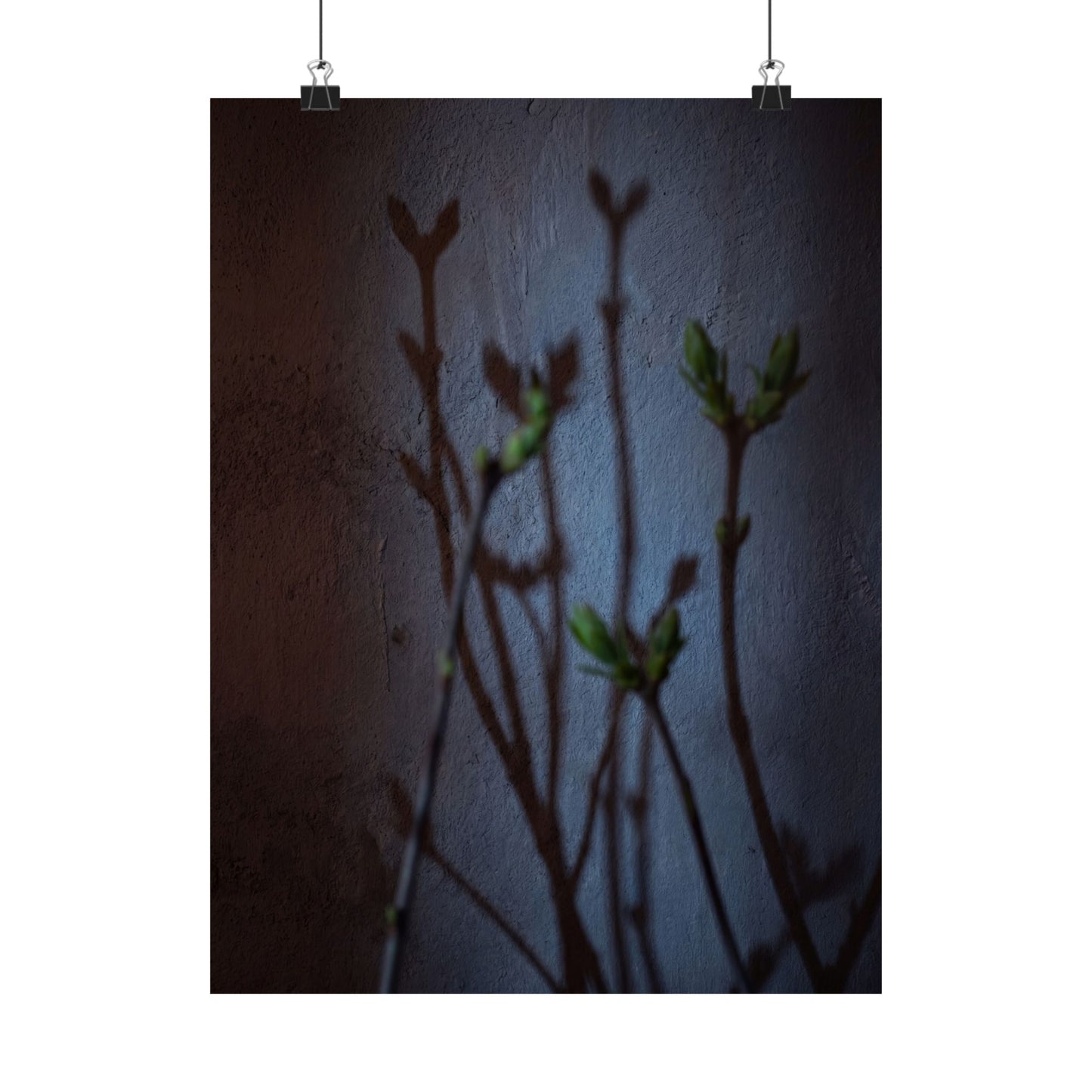 Spring Shadow Play Shadow Zen Wall Art Print | Moody Decor