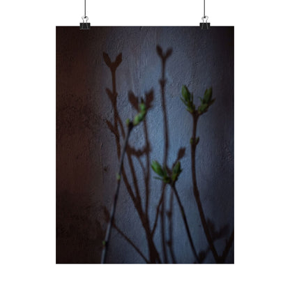 Spring Shadow Play Shadow Zen Wall Art Print | Moody Decor