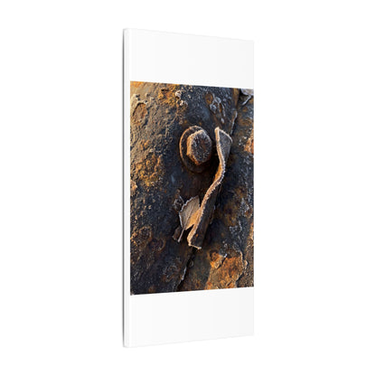Moody Rust Patina Canvas Art - Moody Minimal Dark Japandi