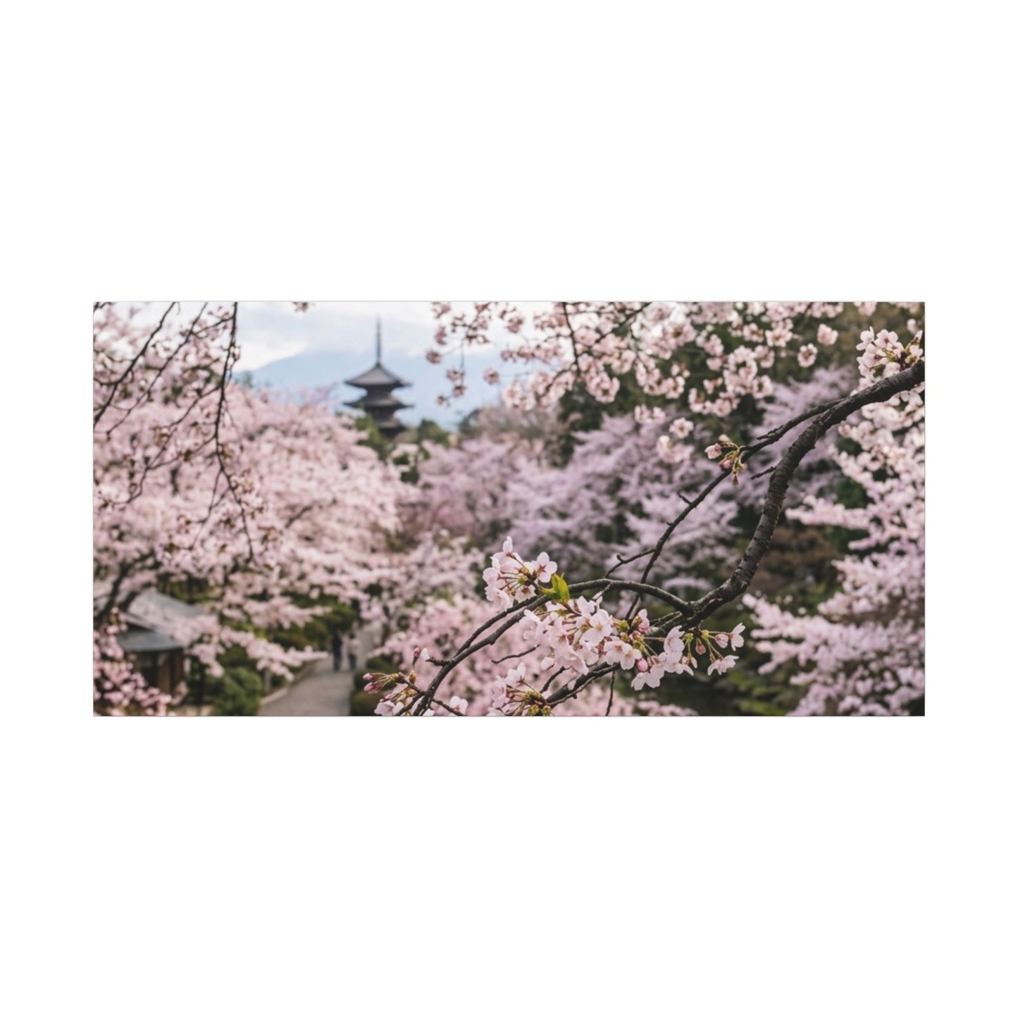 Cherry Blossom Winter Canvas Art | Dark Japandi Luxurious Design