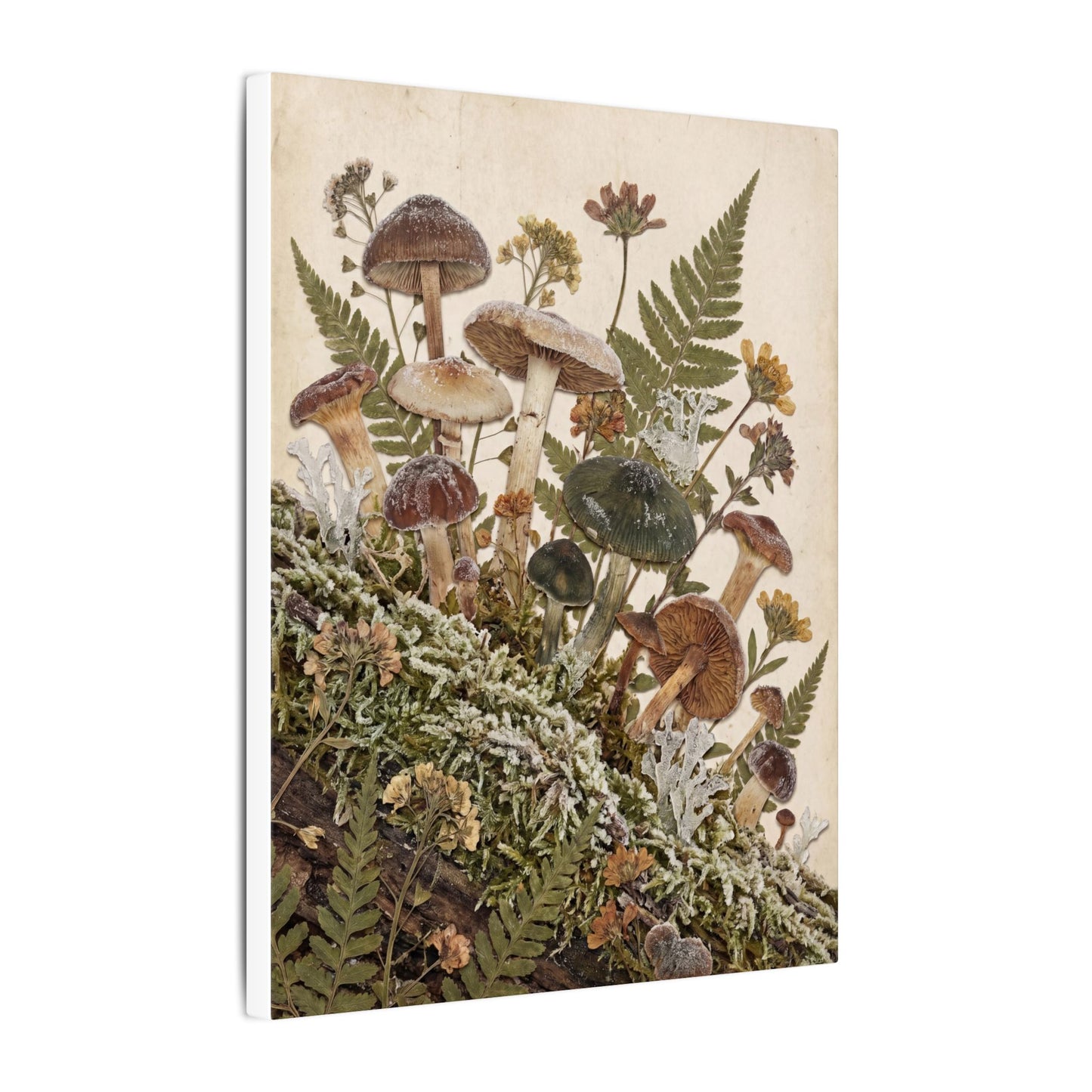 Winter Wild Mushrooms Herbarium Canvas Art | Enchanting Decor