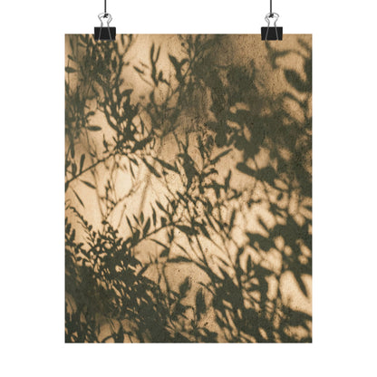 Shibui Shadow Play Wall Art Print - Japandi Minimal Line Art Print
