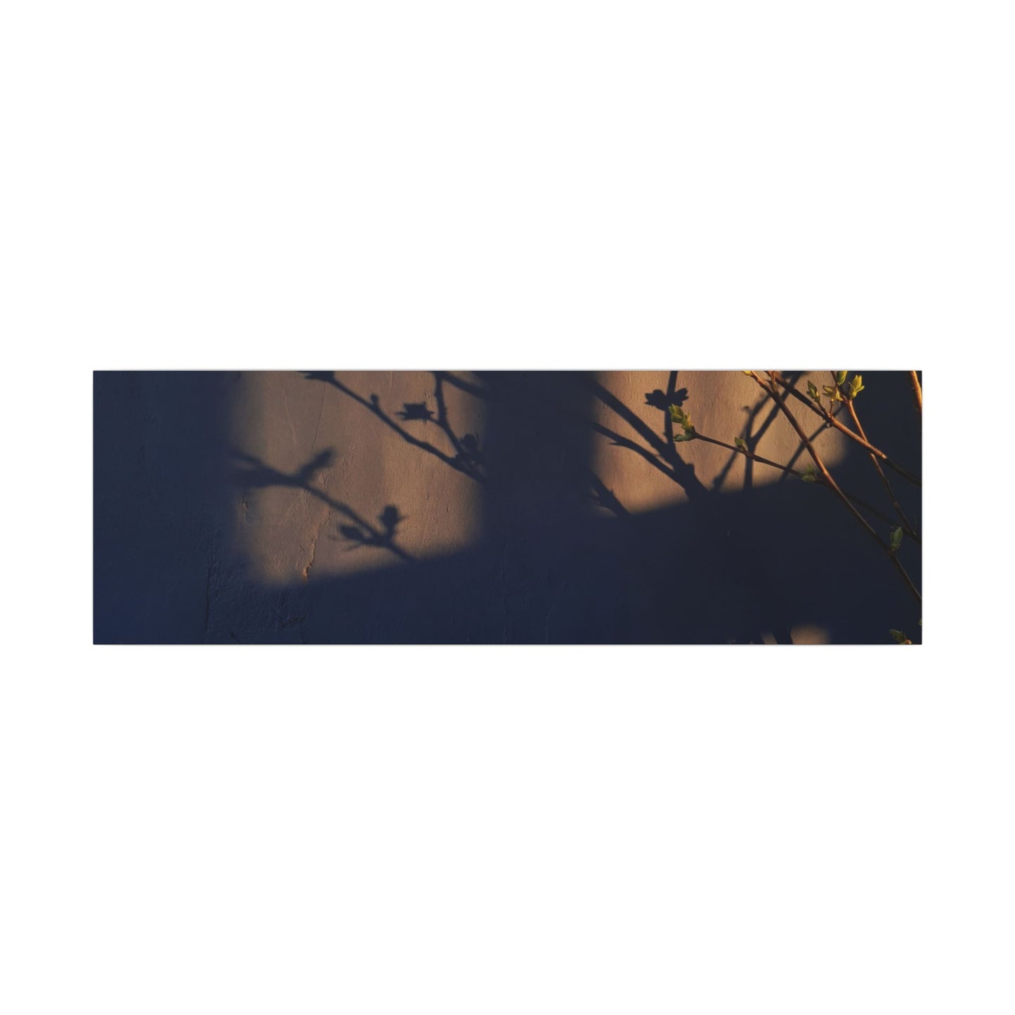 Shadow Play Canvas Art | Spring Dark Japandi Shadow Zen Art