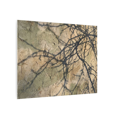 Japandi Shadow Play in Golden Hour | Texture Canvas Art