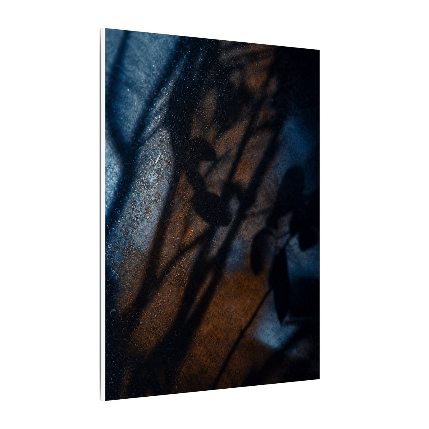 Moonlight Shadow Play Canvas Art - Dark Japandi Ma