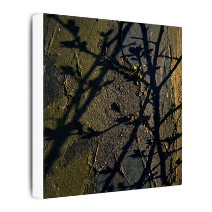 Kanso Shadow Play Canvas Art - Dark Japandi Dark Texture