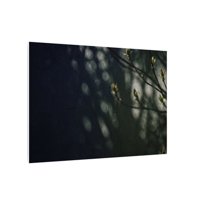 Dark Japandi Shoji Screen in Dappled | Moody Minimal Canvas Art
