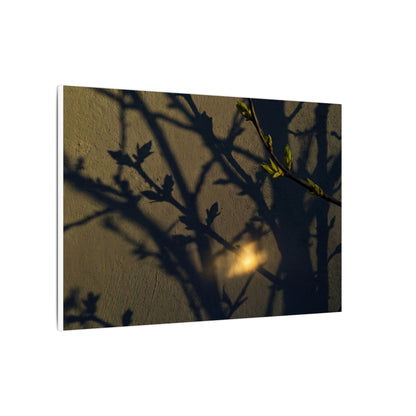 Bold Shadow Play Canvas Art - Moody Minimal Dark Japandi