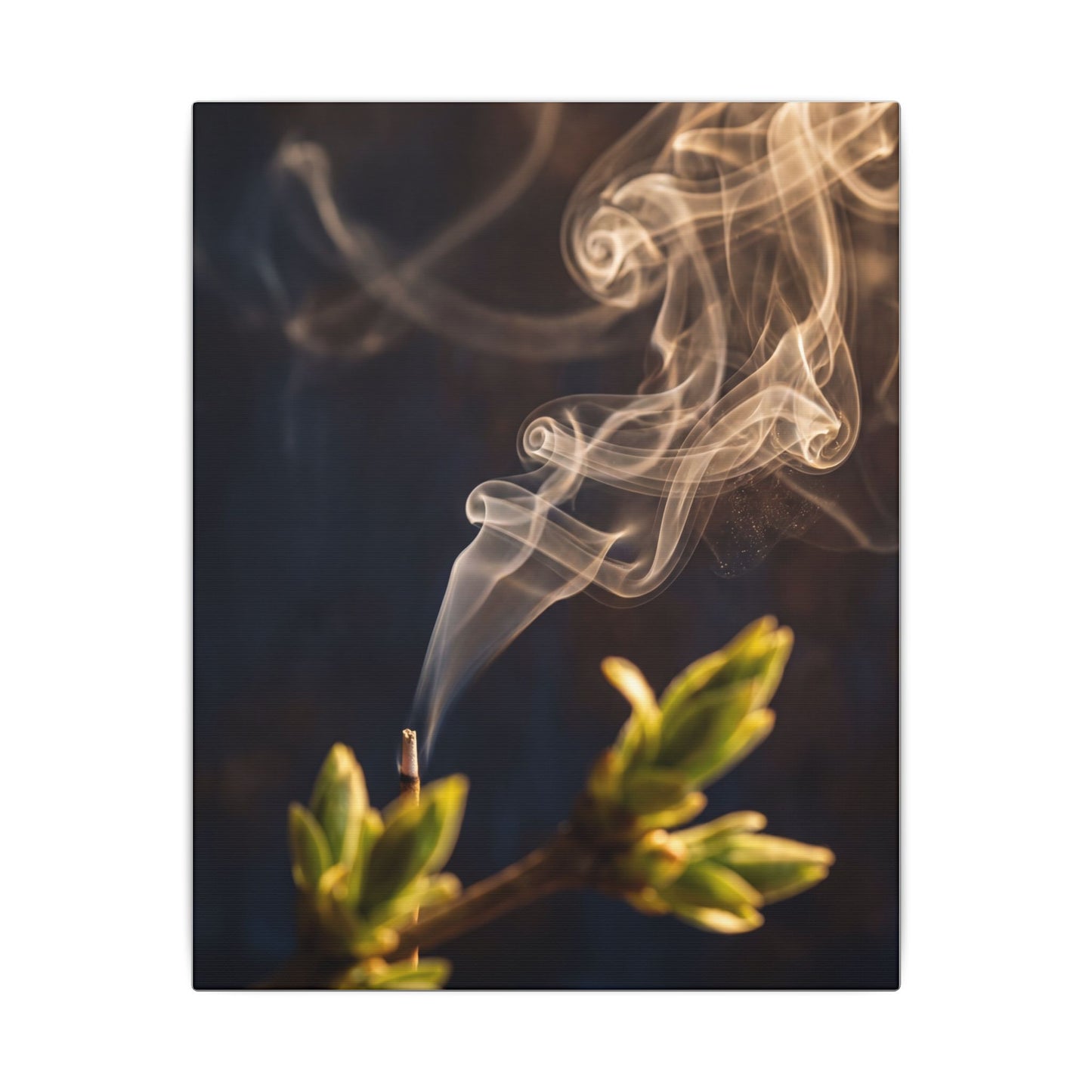 Incense Smoke Spring Canvas Art | Dark Japandi Atmospheric Design