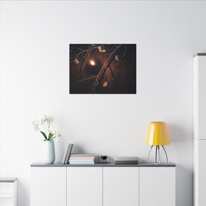 Datsuzoku Cherry Blossom Canvas Art - Dark Japandi Moody Minimal