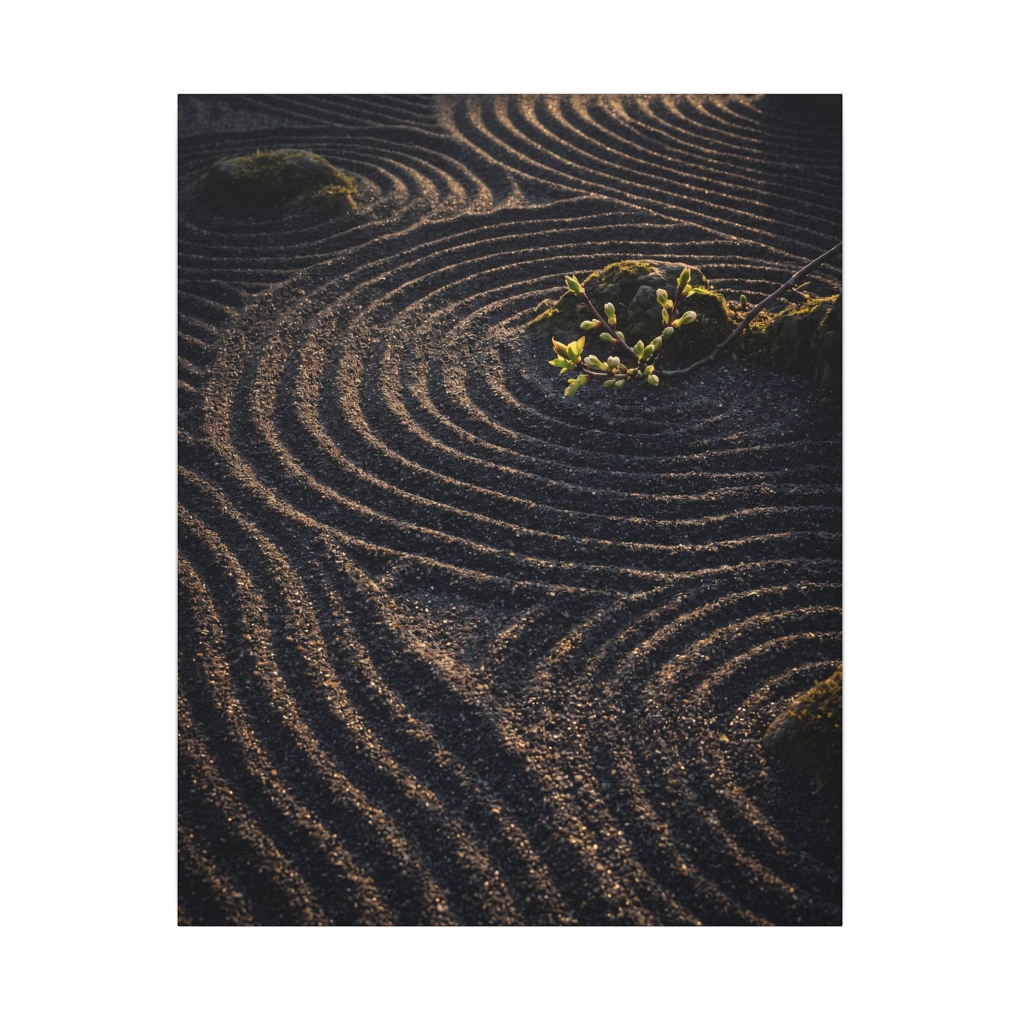 Spring Rock Garden Shadow Zen Canvas Art | Atmospheric Decor