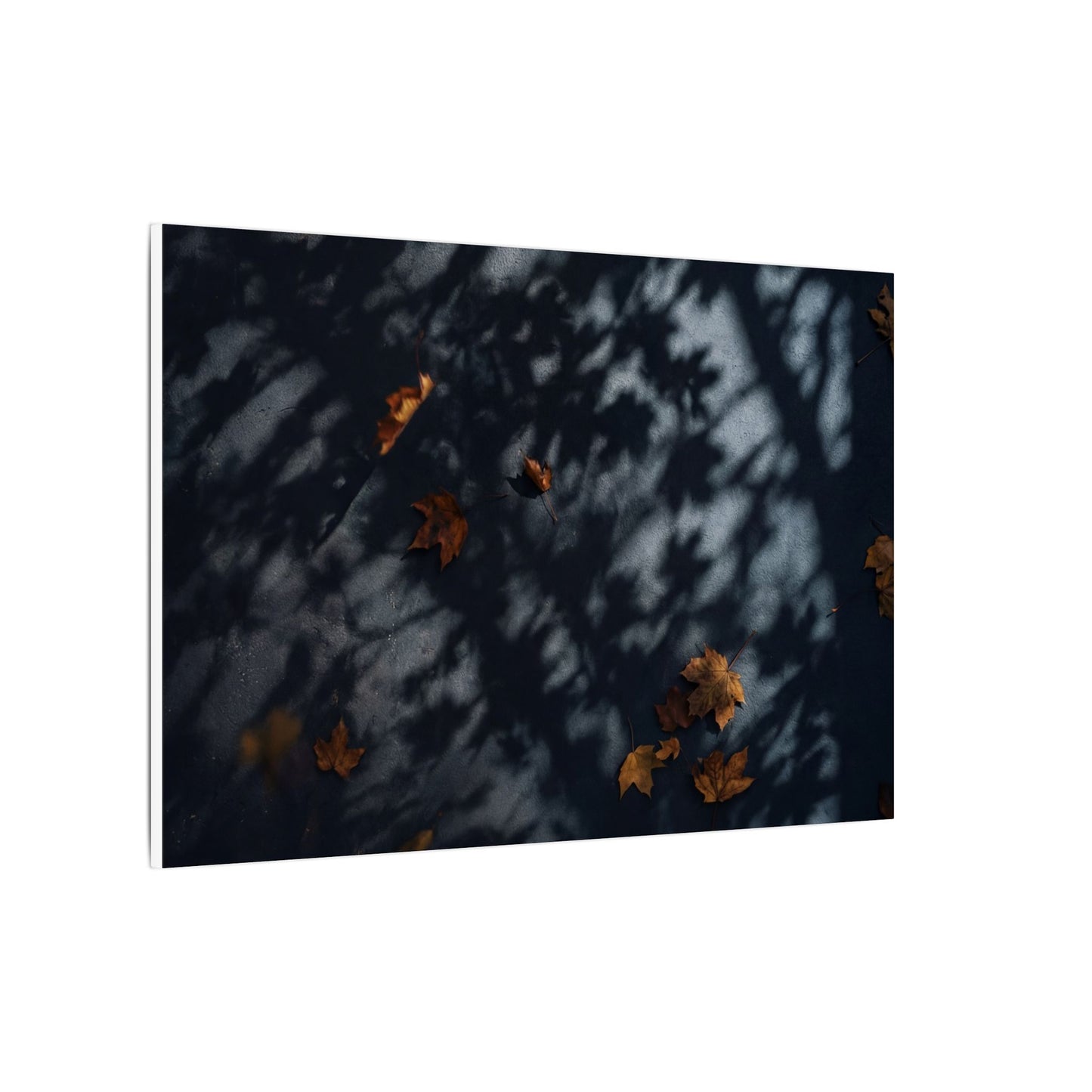 Autumn Shadow Play Shadow Zen Canvas Art | Atmospheric Decor