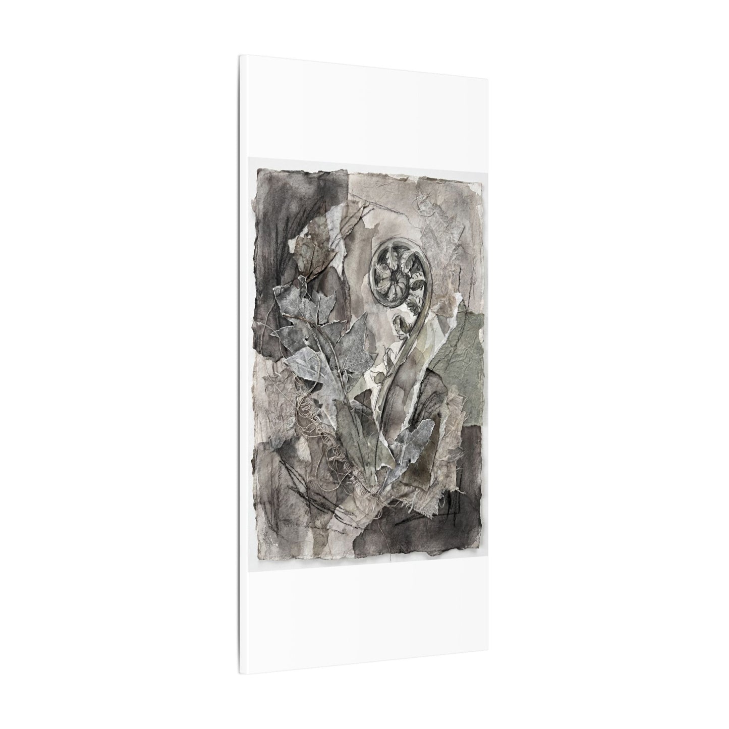 Japandi Fern Unfurling in Overcast | Texture Canvas Art