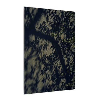 Atmospheric Shadow Play Canvas Art - Moody Minimal Dark Japandi